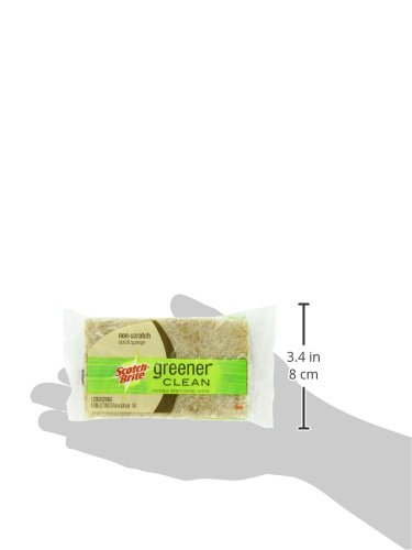 Scotch Brite Scotch Brite Nonscratch Sponge Natural Fiber; 1 Count; 12 Per Case - High Mart Wholesale