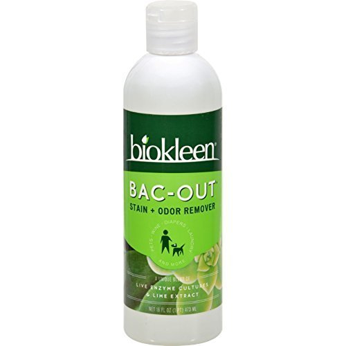 Biokleen Bac-Out Stain & Odor Remover; 16 Fluid Ounces; 6 Per Case - High Mart Wholesale