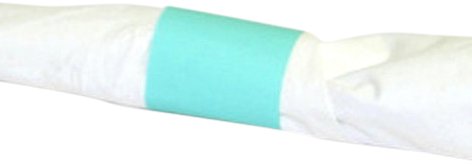 Evergreen Napkin Bands 4.25X1.5 Mint Green; 2500 Each - High Mart Wholesale